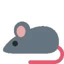 mouse_rat