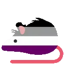 rat_asexual