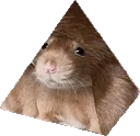 rat_pyramid