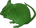 cancer_mouse