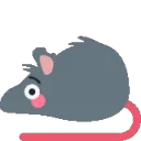 rat_flushed