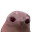 catbald