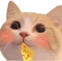 CH_cheesecat Discord Emoji