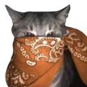 orangebandanacat Discord emoji