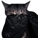 blackbandanacat Discord emoji