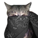 graybandanacat Discord emoji