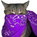 purplebandanacat Discord emoji