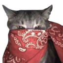 redbandanacat Discord emoji