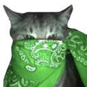 greenbandanacat Discord emoji
