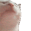 catJAMfast Discord emoji