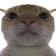 catBruh