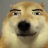 dogSmirk