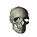 skullspin