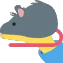 rat_offered