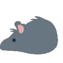 rat_tailless
