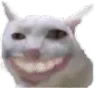 teef