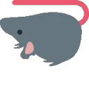 rat_upside_down