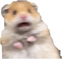 AUHamsterShock Discord emoji