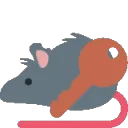 rat_key rat_key