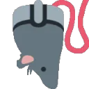 rat_computer_mouse