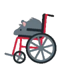 rat_manual_wheelchair