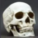 fuck