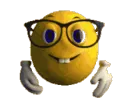 nerdglasses