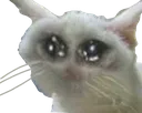 sadness_noises