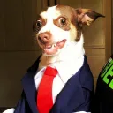 suitupbubs