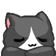 neko_sleepy Discord Emoji