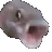 pogfish