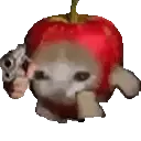 AppleCatGun