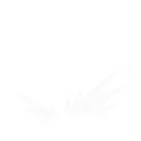 ChargeJump