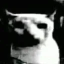 cursed cursed