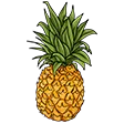 crispyPine