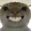 DGcatSmile