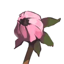 __