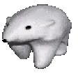 q_walking_bear
