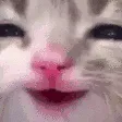 cat_mwehehe