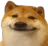 widecorgi