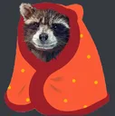 RaccoonBlankie