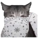 emoji_26