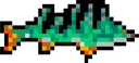 kala
