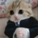 fino
