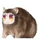 ratpeko Discord emoji