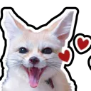 FennecHearts