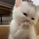 vhehehe Discord Emoji