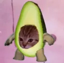 cuteavo
