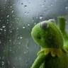 kermit_window