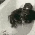 happy_monkey
